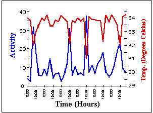 mole rat graph