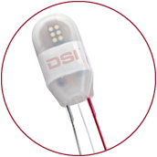 dsi-x-11website_circle-image dsi-x-11website_circle-image