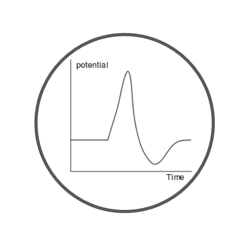 Electrophysiology