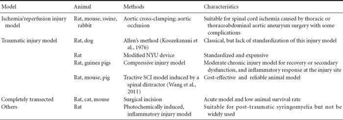 Spinal Cord Injury Models SCI, spinal cord injury