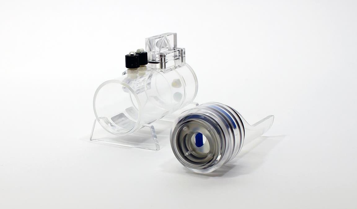 Mouse HO front open_LR