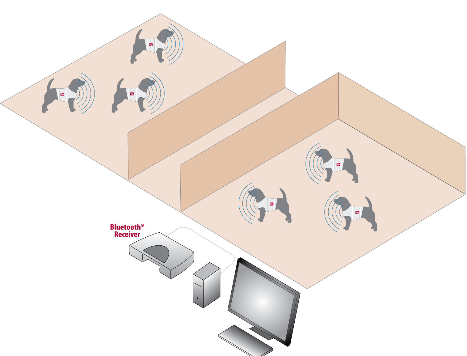 JET system
